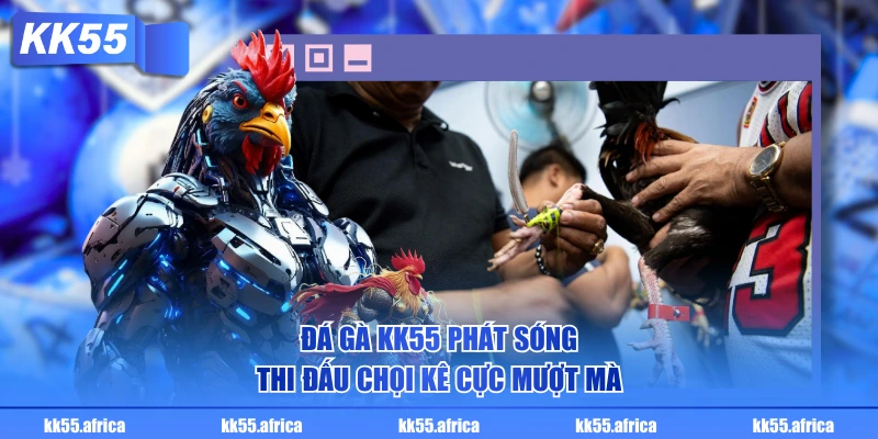 Đá Gà KK55 phát sóng thi đấu chọi kê cực mượt mà